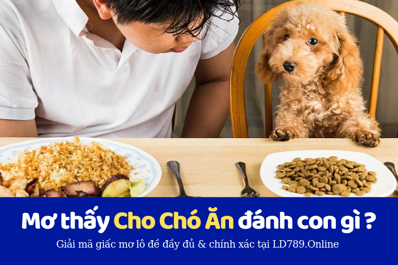 nằm mơ thấy cho chó ăn thì đánh con gì