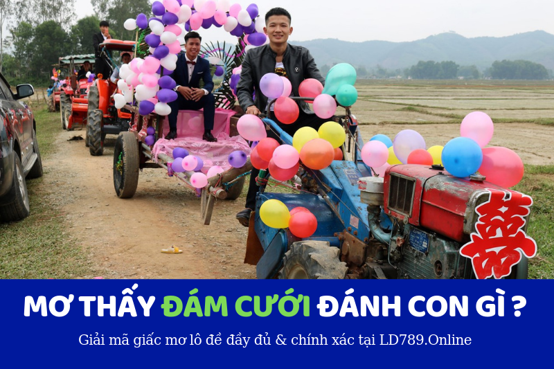 mơ thấy đám cưới đánh đề con gì