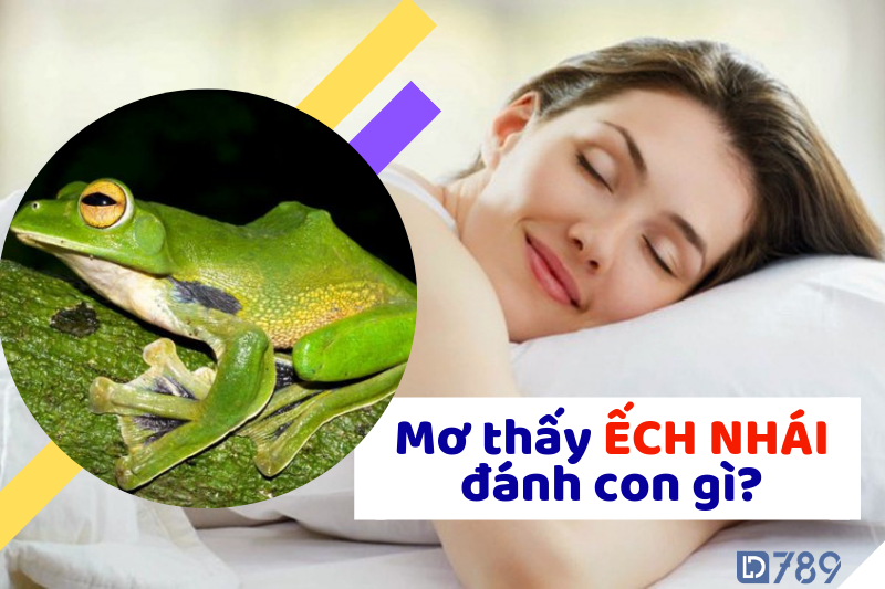 mơ thấy ếch nhái đánh đề con gì dễ trúng