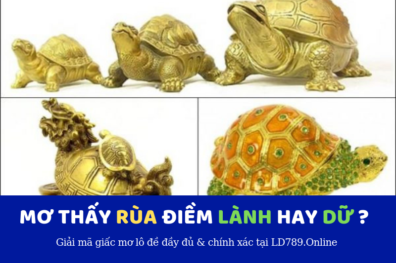 mơ thấy rùa điềm lành hay dữ